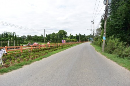 ลงพื้นที่สำรวจโครงการ"เชียงใหม่ เมืองสะอาด ถนนสวย ดอกไม้งาม