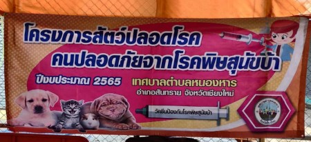 โครงการสัตว์ปลอดโรค คนปลอดภัยจากโรคพิษสุนัขบ้า ปีงบประมาณ ๒๕๖๕ เทศบาลตำบลหนองหาร อำเภอสันทราย จังหวัดเชียงใหม่