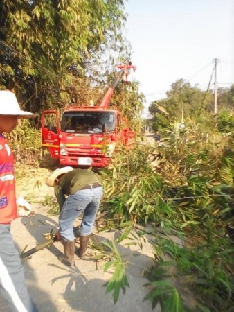 นางสุพิศ เถียรทิม นายกเทศมนตรีตำบลหนองหาร คณะผู้บริหาร สมาชิกสภาฯ มอบหมายให้  กองช่างเทศบาลตำบลหนองหาร ลงพื้นที่ตัดแต่งกิ่งไม้ในเขตไหล่ทาง หมู่ที่ ๗ หนองหาร ตำบลหนองหาร อำเภอสันทราย จังหวัดเชียงใหม่ เพื่อให้เกิดความสะดวก กับผู้ใช้รถใช้ถนนสามารถขับรถได้อย่