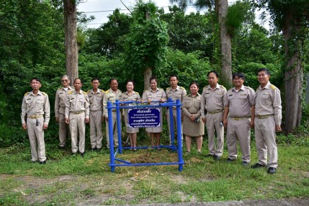 เทศบาลตำบลหนองหาร จัดกิจกรรมการปลูกต้นรวงผึ้งเฉลิมพระชนมพรรษาสมเด็จพระเจ้าอยู่หัว ๖๖ พรรษา ๒๘ กรกฎาคม ๒๕๖๑